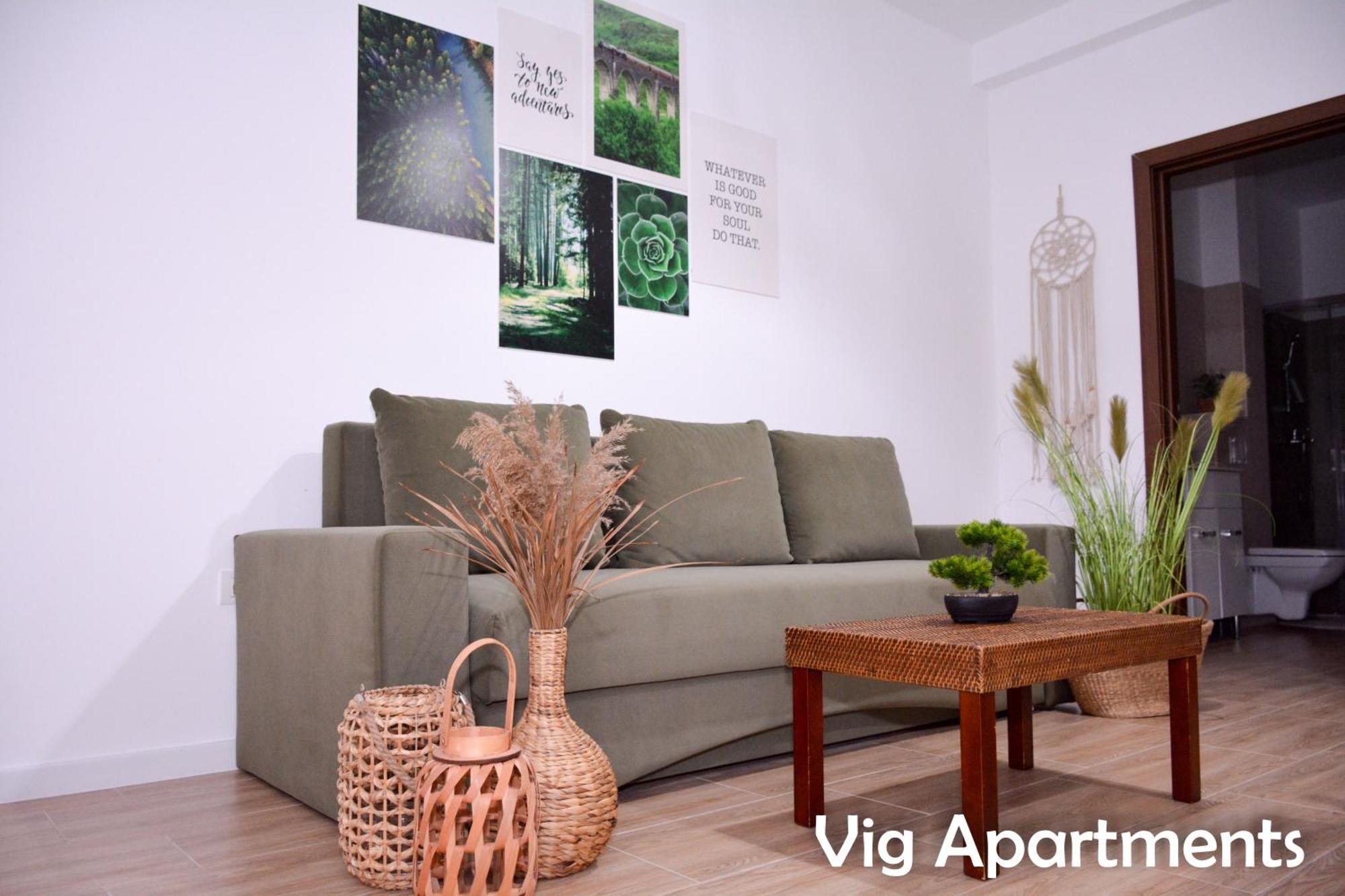 Vig Apartments Timişoara Extérieur photo