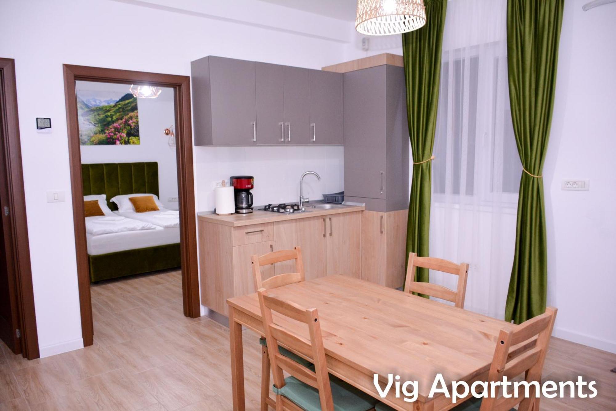 Vig Apartments Timişoara Extérieur photo