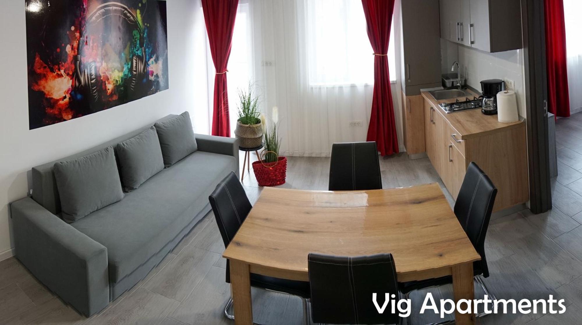 Vig Apartments Timişoara Extérieur photo