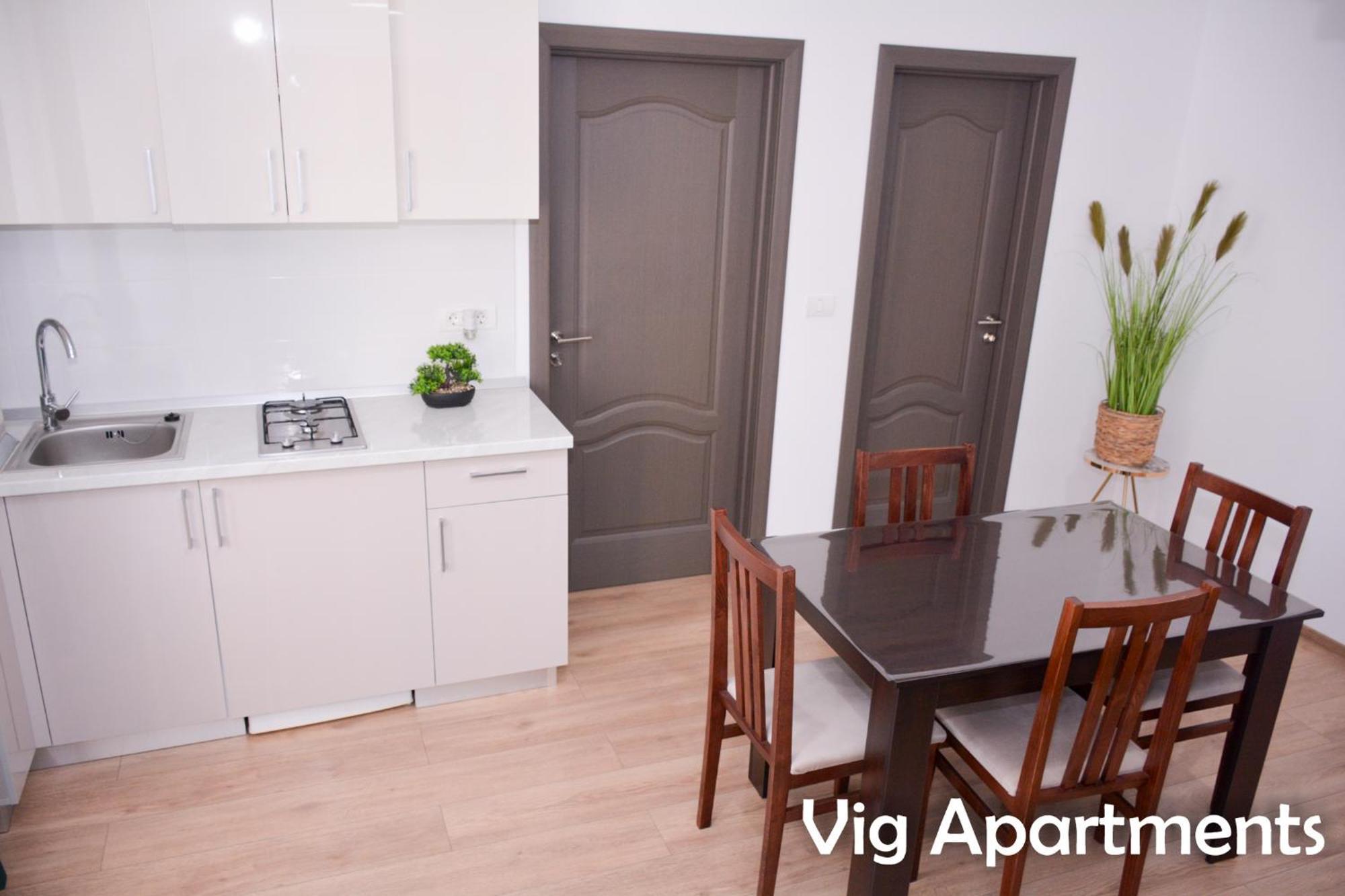 Vig Apartments Timişoara Extérieur photo